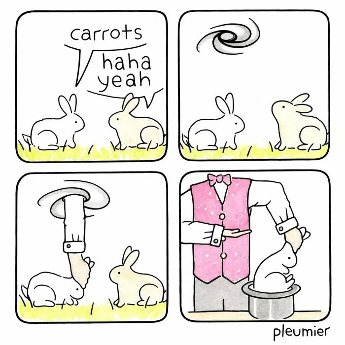 Comic strip featuring two rabbits and a magician's hand, illustrating a gently funny comic with a sharp twist by a biologist-turned-artist.
