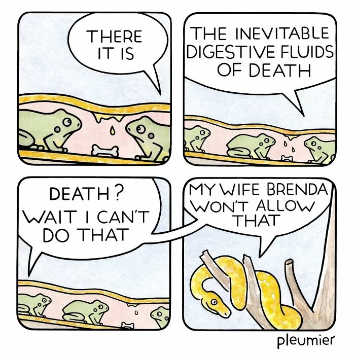 Frogs and a snake in a comic strip illustrating a gently funny scene with a sharp twist by a biologist-turned-artist.