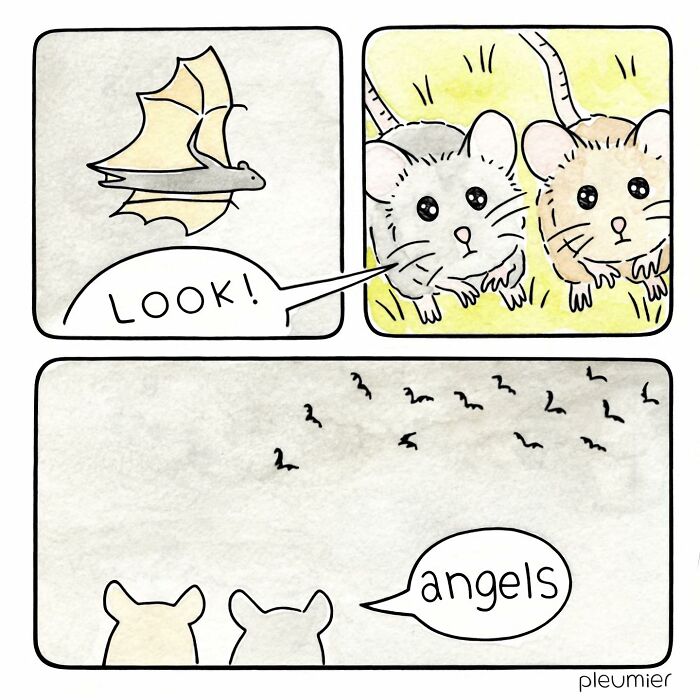 Two mice watch a flying bat, calling it angels, in a gently funny comic by a biologist-turned-artist.