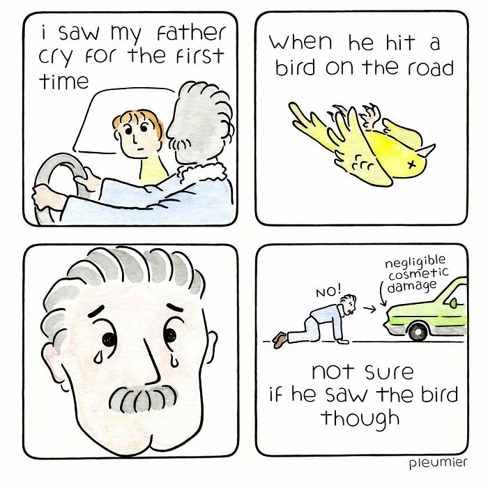 Comic panels showing a man crying after hitting a bird on the road, featured in gently funny comics by a biologist-turned-artist.