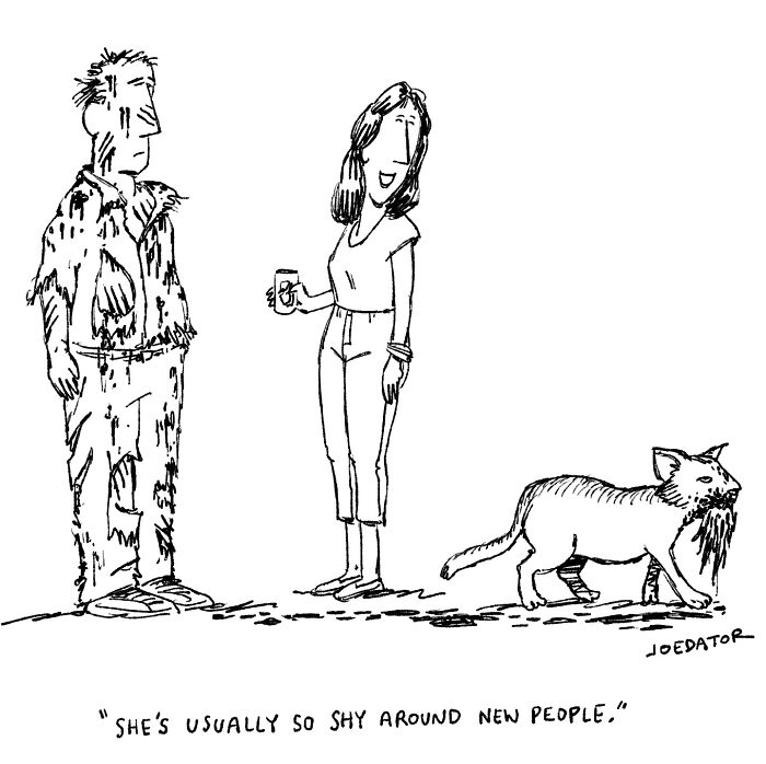 Witty cartoon by Joe Dator showing a disheveled man, a woman with a drink, and a cat with a beard.