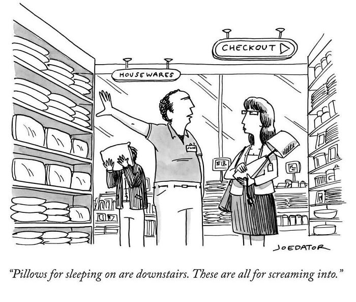 Cartoon by Joe Dator showing a store employee explaining different pillows in a witty housewares section.