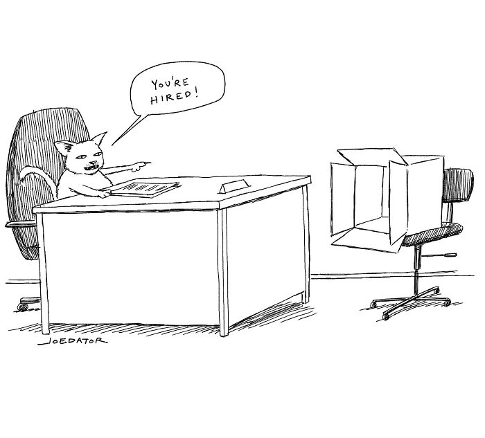 Cartoon by Joe Dator showing a cat interviewer pointing and saying "You're hired" during a quirky office interview.