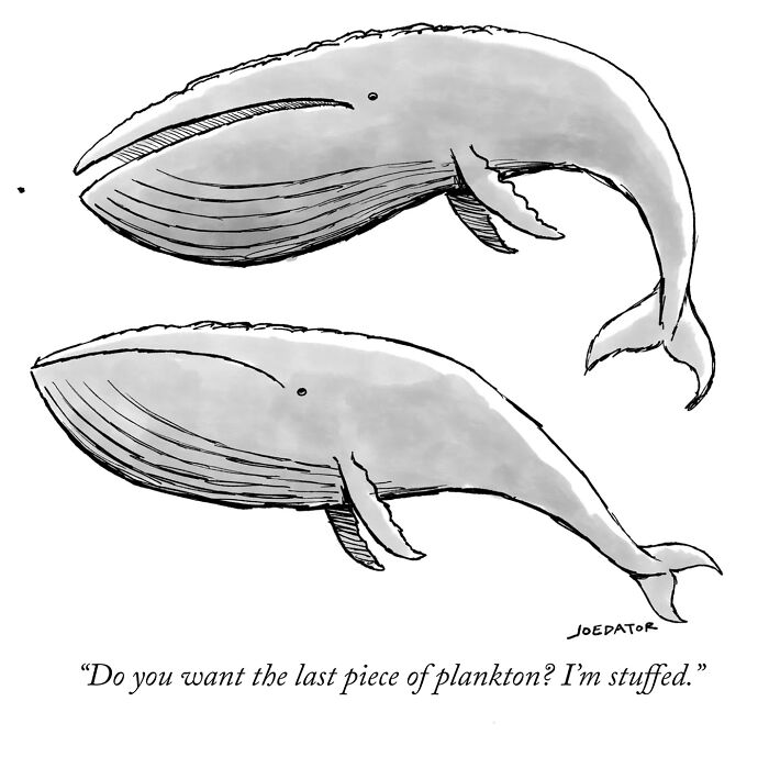 Two whales in a witty cartoon by Joe Dator discussing the last piece of plankton in a humorous style.