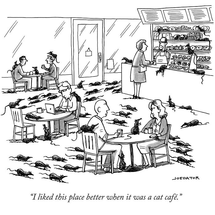 Cartoon by Joe Dator showing a cafe overrun by rats with a customer missing the cat cafe atmosphere.