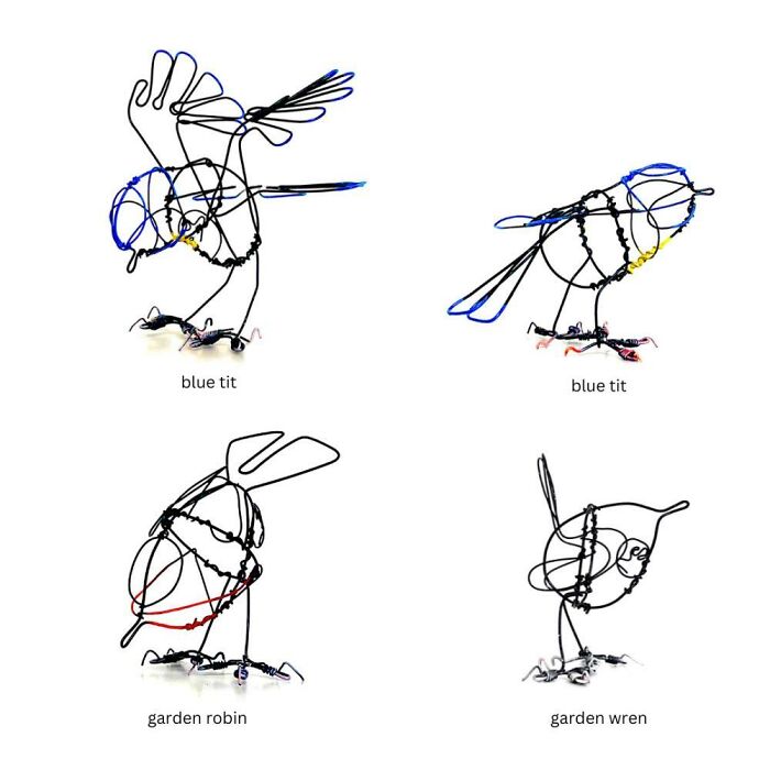 This Talented Wildlife Artist Stunned Alan Titchmarsh On Live TV