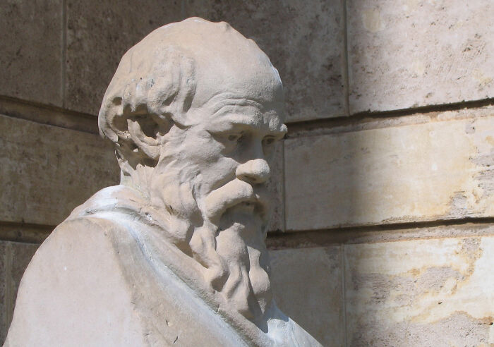 Marble statue of an ancient philosopher with a beard, symbolizing famous paradoxes that challenge even smart people’s thinking.