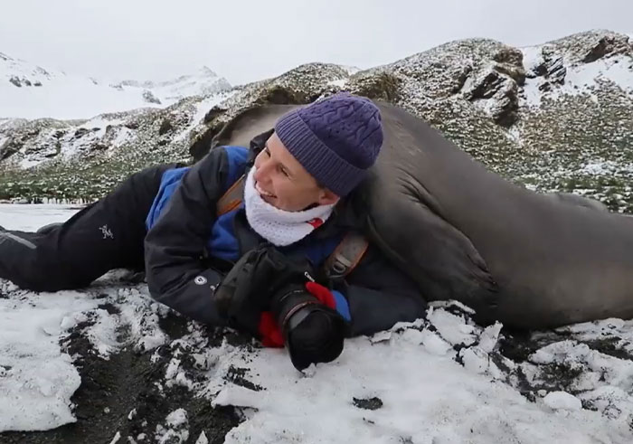 Wildlife photographer lying on snow next to a seal that playfully leans on him in a snowy mountain setting.
