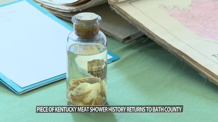Glass jar with preserved specimen on a green table, related to scary and unsettling Wikipedia articles history topic.