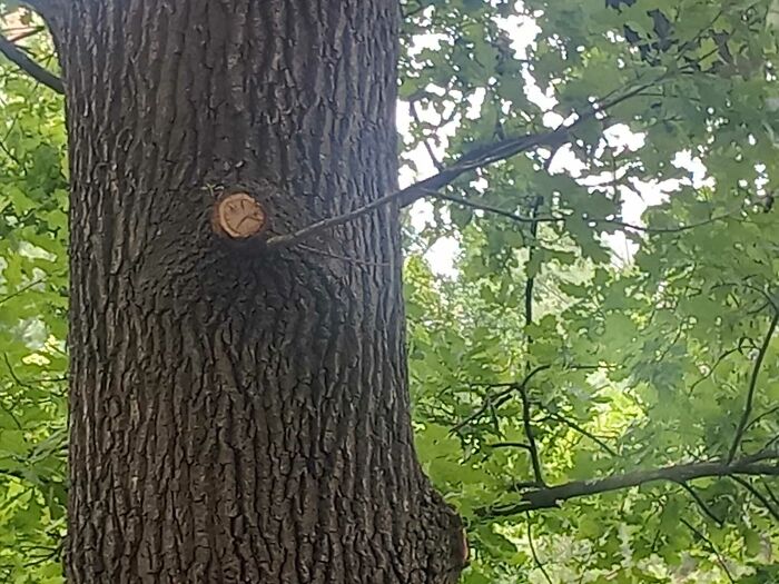 This Unhappy Guy, About 3 In Metres Above Ground