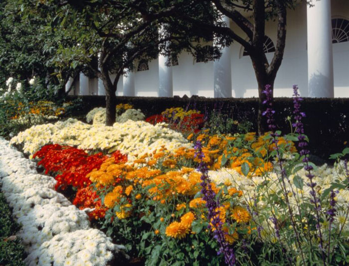 New Pics Show Rose Garden Bulldozed And Paved Over In Trump&rsquo;s White House Redesign
