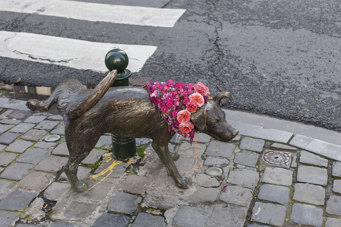Bronze city statue of a dog dressed in vibrant flowers, showcasing floral art by an artist in urban settings.