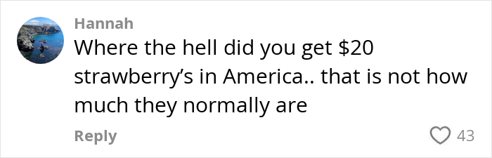 Screenshot of a social media comment criticizing the high cost of living in America by an Aussie influencer.