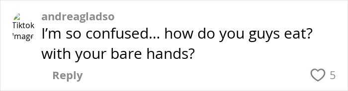 Comment on social media questioning how Americans eat with cutlery, highlighting Europeans roasting them for primitive eating habits.