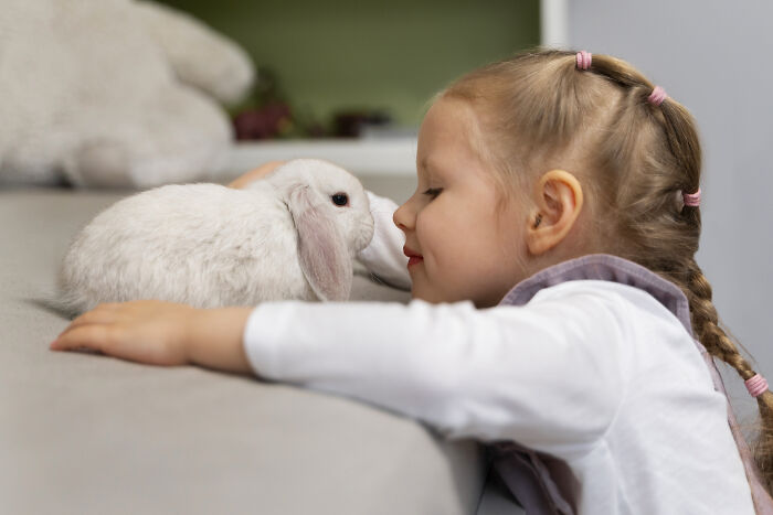 Young girl with braided hair leaning close to a white rabbit, symbolizing unique and acceptable baby names that feel a bit weird.