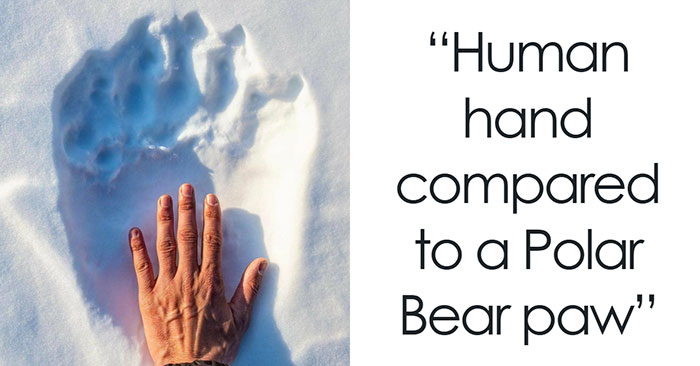 These 50 Comparison Pics Might Give You A Fresh Perspective On The World (New Pics)