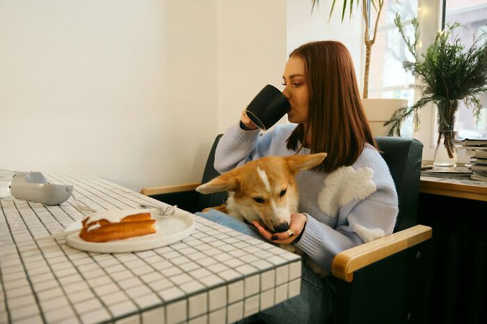 Woman drinking from a black mug while holding a dog on her lap at a table, reflecting on deeply ashamed secrets.