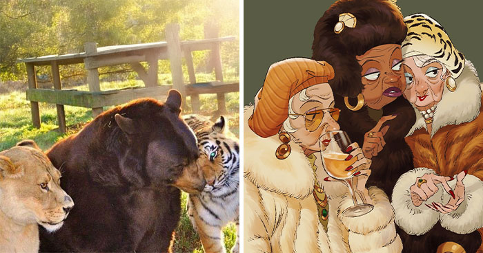 17 New Creative Illustrations By Connie Kang Where Human Meets Animal Charm