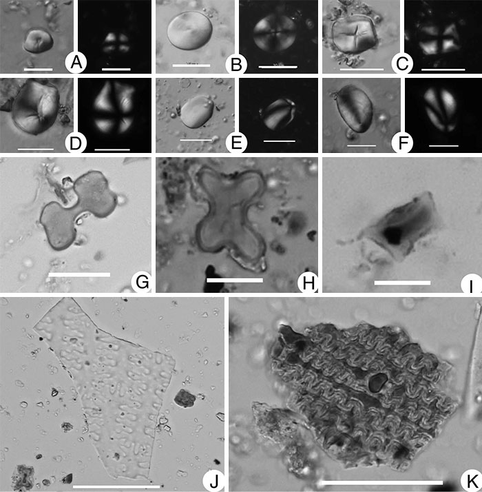 Microscopic images of ancient artifacts and particles related to archeological discoveries challenging historical narratives.