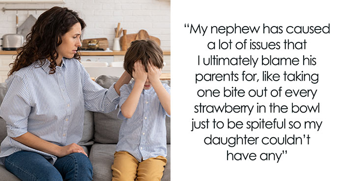 “Had An Absolute Meltdown”: Woman Refuses To Watch Spoiled Nephew Any Longer