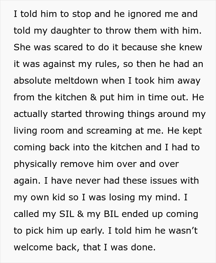 Woman offers to help SIL by babysitting her kid, but regrets it after he creates chaos and has meltdowns throughout the house. Woman offers to help SIL by babysitting her kid, but regrets it after he creates chaos and has meltdowns throughout the house.