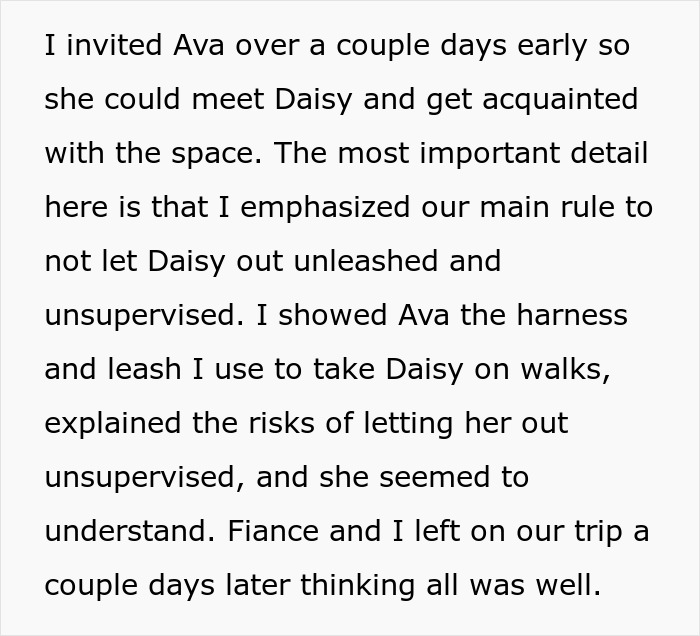 Cat-sitter visiting to meet cat Daisy, shown leash and harness rules to prevent unsupervised outdoor risks.