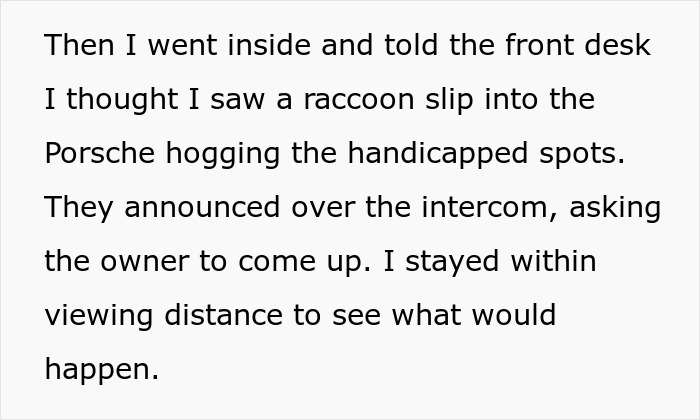 Text about a netizen reporting a Porsche parked across three handicap spots, mentioning a raccoon.
