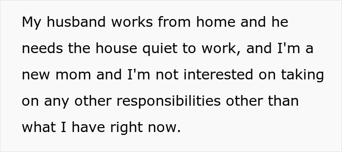 Text from a mom explaining her husband works from home and she, as a SAHM, is not interested in extra responsibilities.