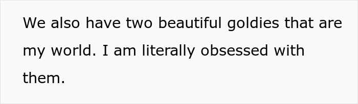 Text excerpt expressing love for two goldies, illustrating a personal connection to neglected dog concerns.