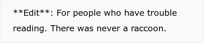 Text on white background stating an edit clarifying there was never a raccoon in the story about a Porsche parked in handicap spots.