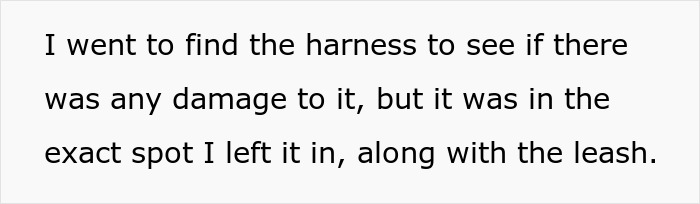 Text excerpt discussing checking a cat harness for damage after using a cat-sitter&rsquo;s services.