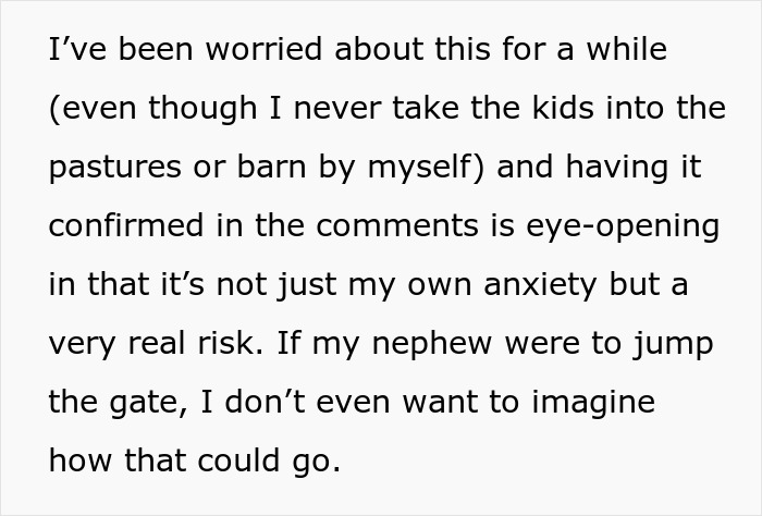 Text discussing worry about child safety and anxiety while babysitting nephew, highlighting real risks and potential chaos. Text discussing worry about child safety and anxiety while babysitting nephew, highlighting real risks and potential chaos.