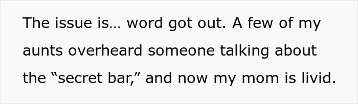 Text excerpt about secret bar at a dry wedding, discussing secretly selling alcohol to cover costs and family reactions.