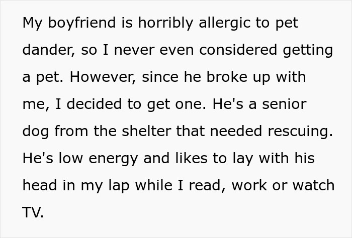Text describing a partner allergic to pets who disappeared, then the other adopted a dog despite the allergy.