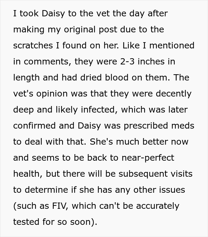 Alt text: Text about cat injuries and vet visit related to refusing to pay cat-sitter concerns and health updates for the cat.