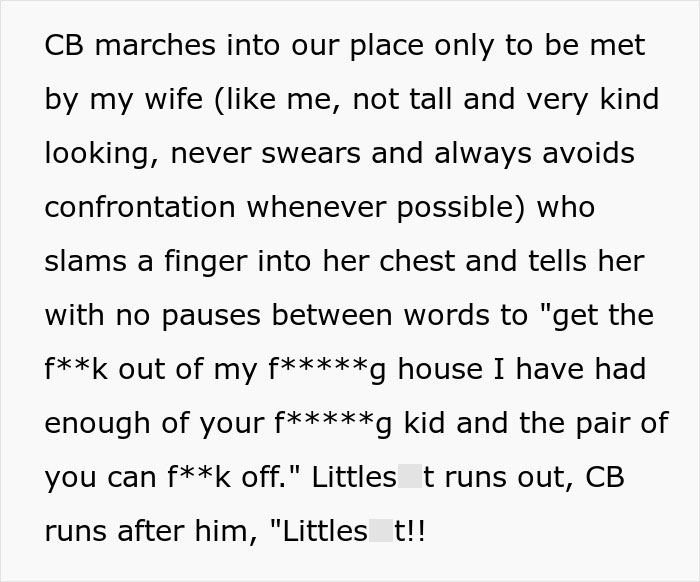 Text excerpt showing a heated confrontation involving neighbors at a cabin related to renters and free babysitters.