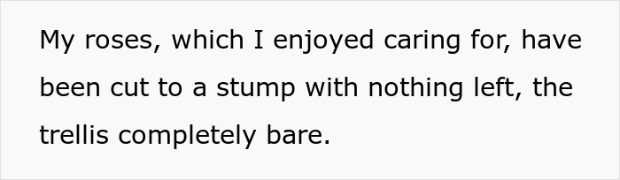 Roses cut to stumps and bare trellis showing garden &ldquo;landscaped&rdquo; by MIL without permission.