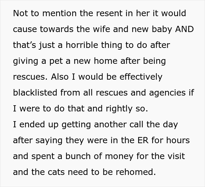 Man demands ex rehomes her cats after new wife&rsquo;s severe allergy causes emergency room visit and expenses.