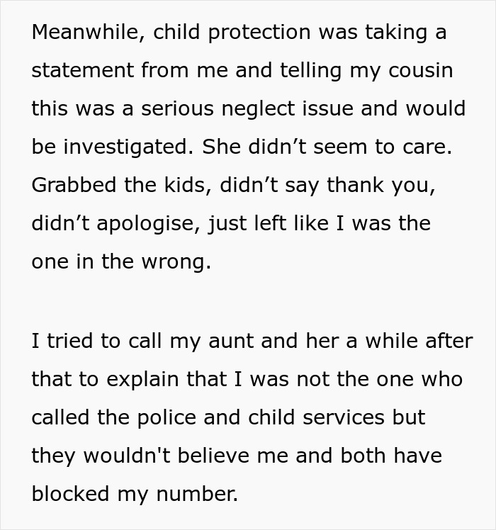 Text excerpt discussing child protection investigating neglect after cousin babysits kids, risking custody issues.