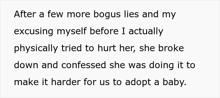 Text excerpt discussing false accusations by a mother-in-law complicating child protective services and adoption processes. Text excerpt discussing false accusations by a mother-in-law complicating child protective services and adoption processes.