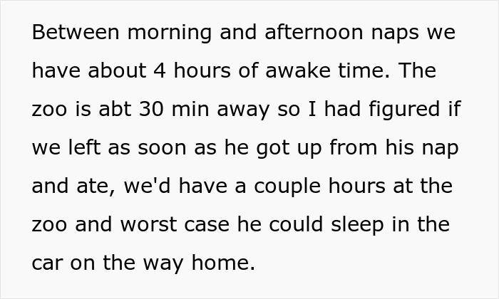 Text on screen describing timing plans to visit the zoo focusing on awake time and naps scheduling.