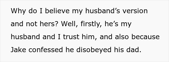Text excerpt about trusting husband's version after a playground mishap involving a concerned neighbor and CPS call.