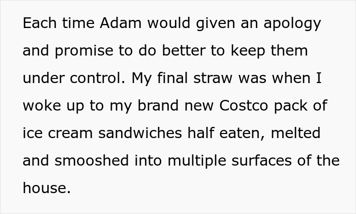 Text excerpt describing frustrations leading to kicking out a roomie after his kids cause damage despite warnings. Text excerpt describing frustrations leading to kicking out a roomie after his kids cause damage despite warnings.