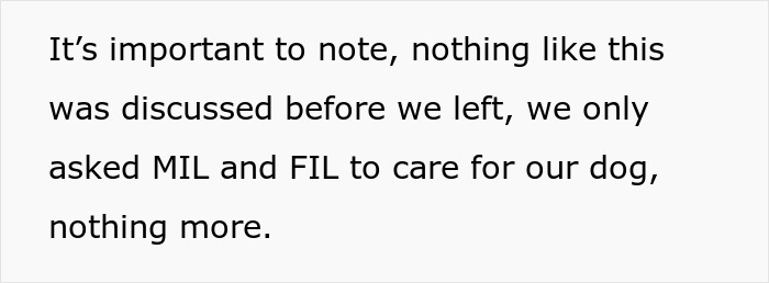 Text on a white background stating that nothing was discussed before leaving except asking MIL and FIL to care for their dog.