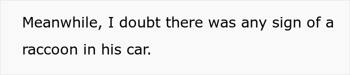 Text on white background stating doubt about a raccoon being in a car referencing a Porsche handicap parking incident.