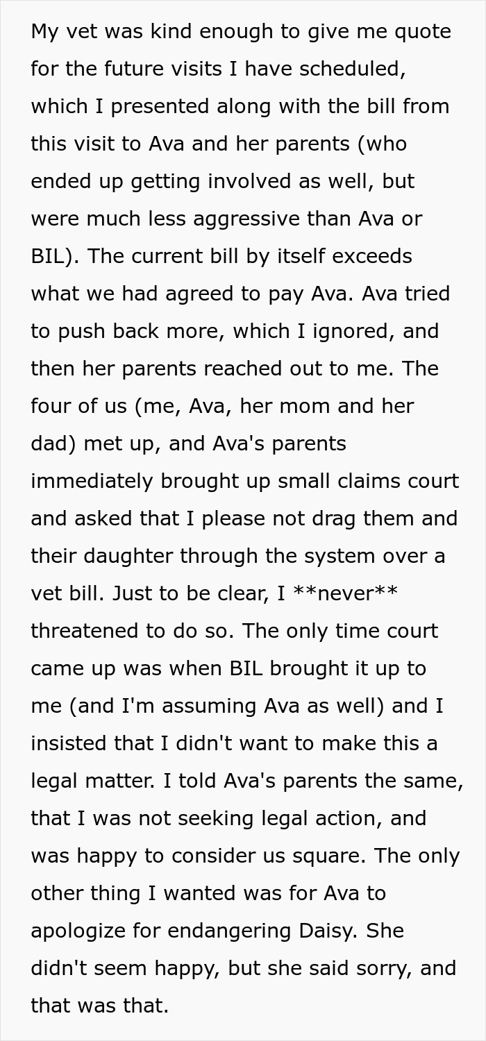 Text excerpt from a dispute over a vet bill involving a cat-sitter and discussions with Ava&rsquo;s parents.