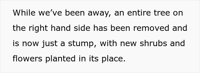 Garden showing removed tree stump and newly landscaped shrubs and flowers after woman returns from vacation.