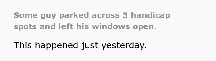 Guy parks his Porsche across three handicap spots with windows open, netizen comments and blames raccoon incident.