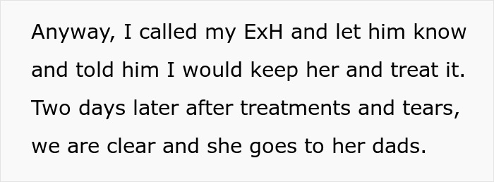 Text describing a mother managing a lice outbreak and contacting her ex-husband while dealing with child custody concerns.