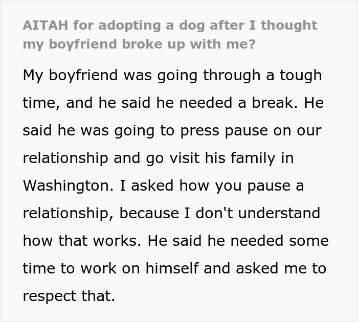 Man disappears for weeks story text about partner adopting a dog despite his allergies and relationship struggles.
